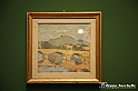 VBS_1347 - Castello di Miradolo - Mostra Oltre il giardino l'Abbecedario di paolo Pejrone